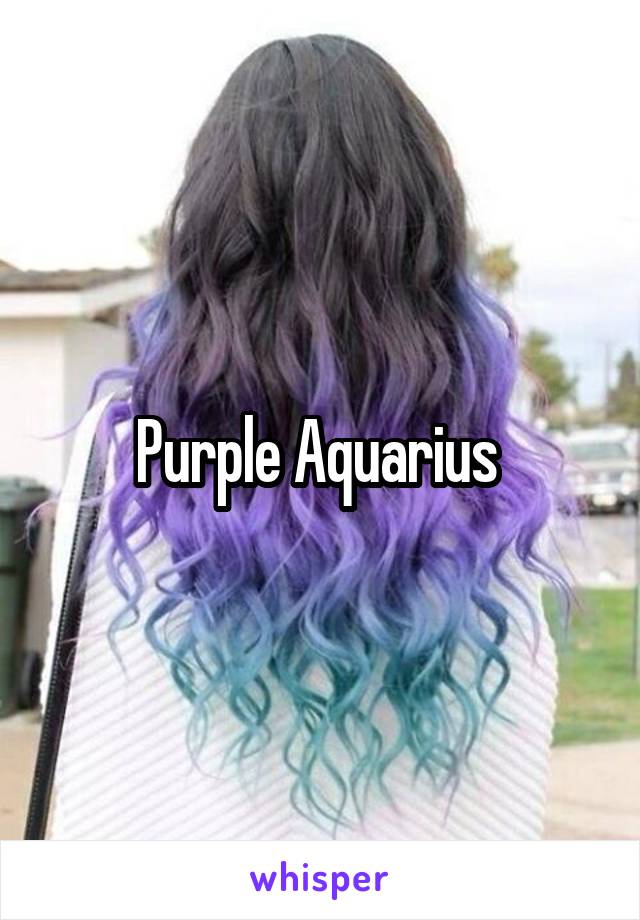 Purple Aquarius 