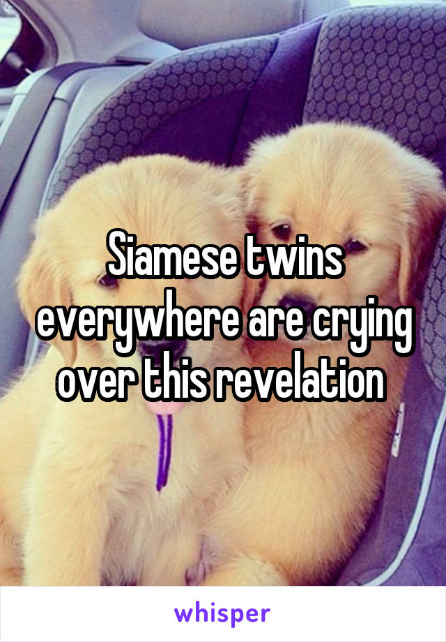 Siamese twins everywhere are crying over this revelation 