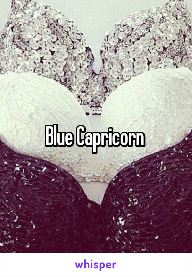 Blue Capricorn 