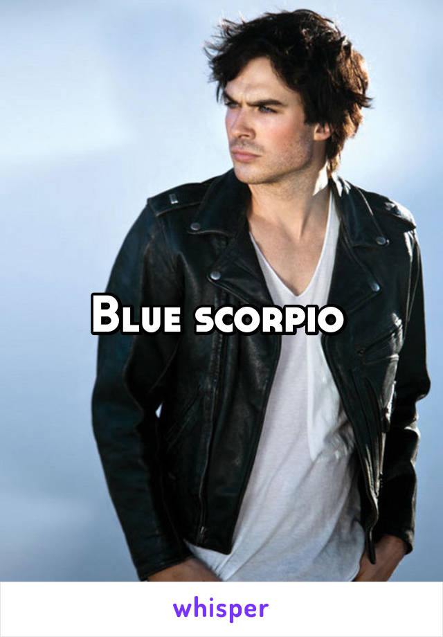 Blue scorpio 