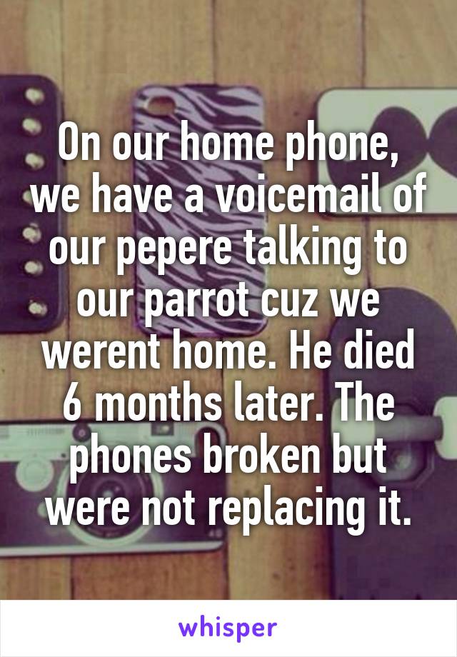 On our home phone, we have a voicemail of our pepere talking to our parrot cuz we werent home. He died 6 months later. The phones broken but were not replacing it.