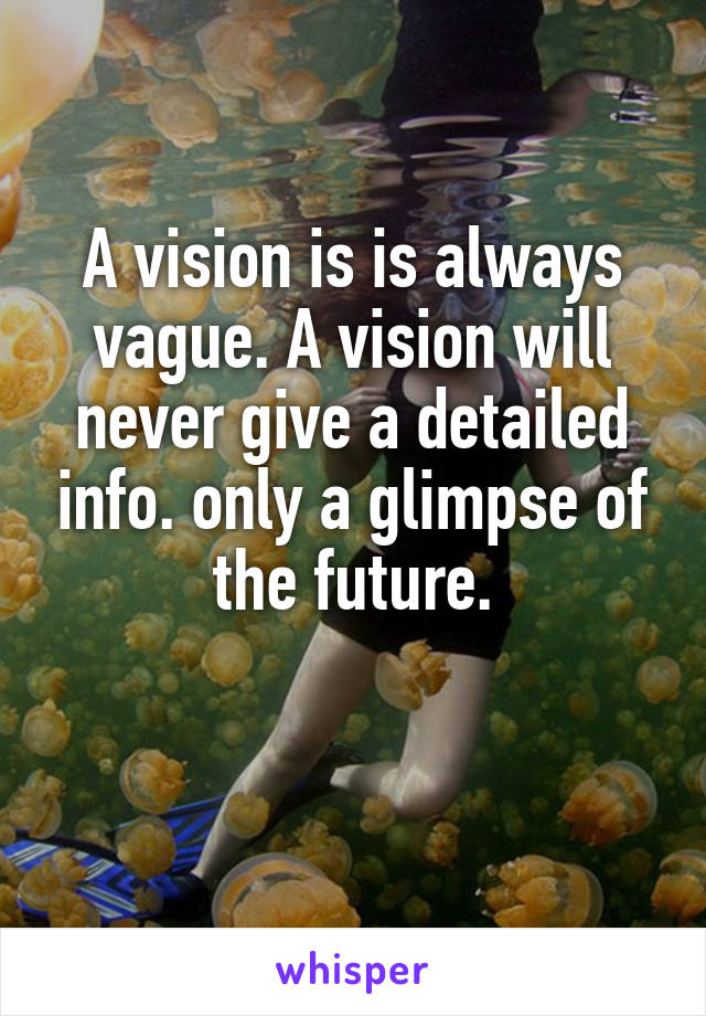 A vision is is always vague. A vision will never give a detailed info. only a glimpse of the future.

