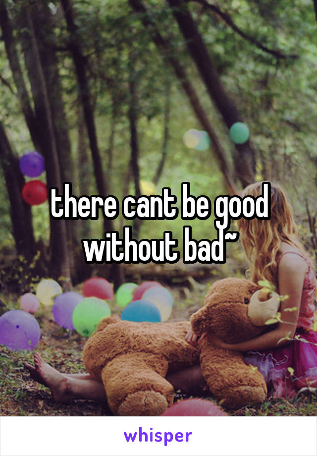 there cant be good without bad~