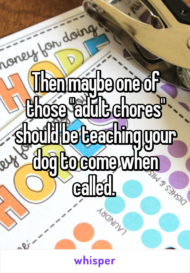 Then maybe one of those "adult chores" should be teaching your dog to come when called. 