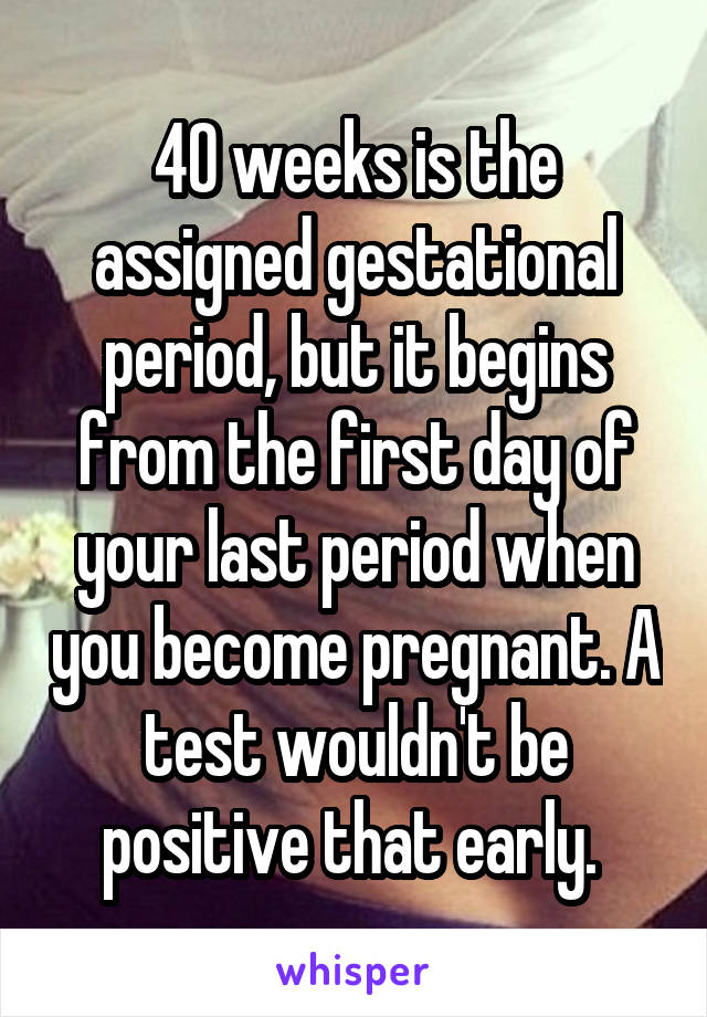 40 weeks is the assigned gestational period, but it begins from the first day of your last period when you become pregnant. A test wouldn't be positive that early. 