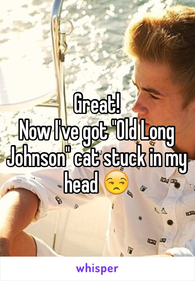 Great!
Now I've got "Old Long Johnson" cat stuck in my head 😒