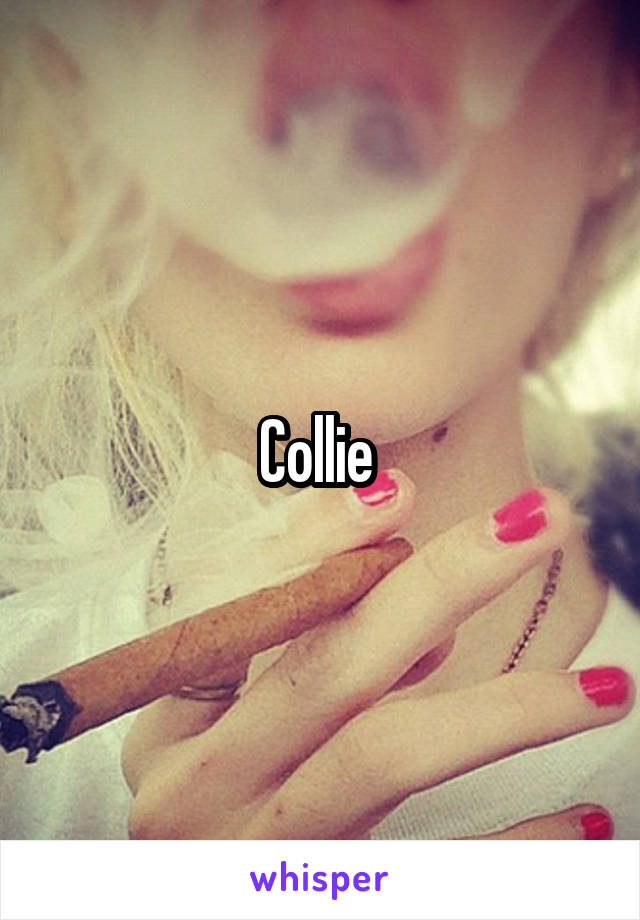 Collie 