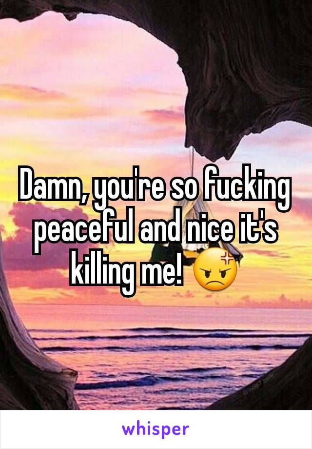 Damn, you're so fucking peaceful and nice it's killing me! 😡