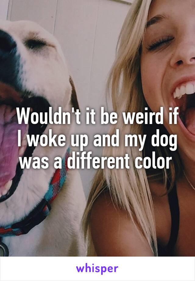 Wouldn't it be weird if I woke up and my dog was a different color 
