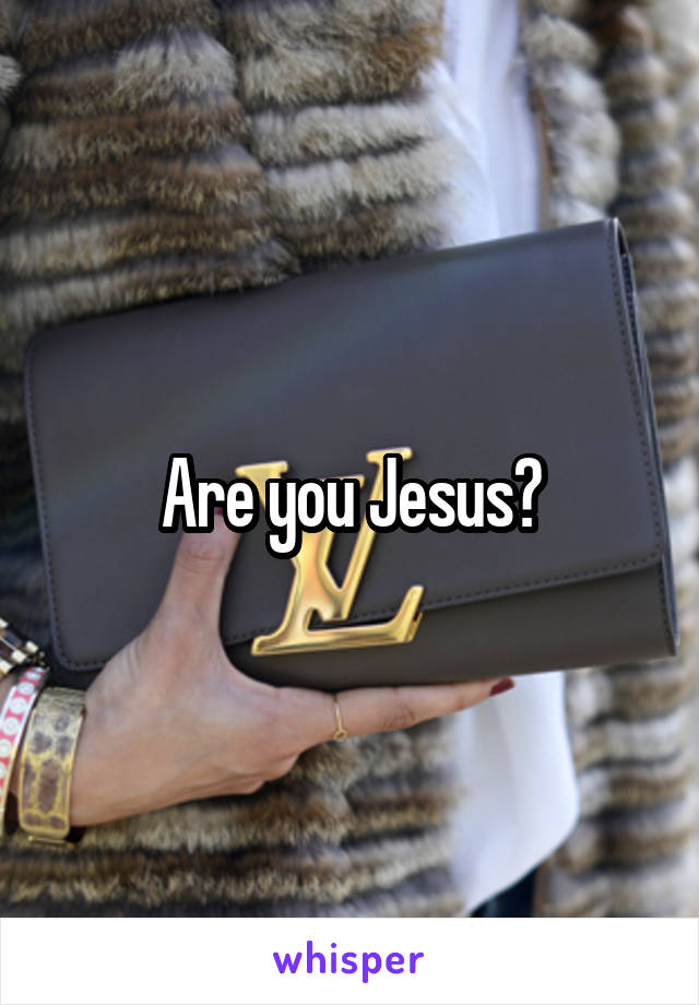 Are you Jesus?