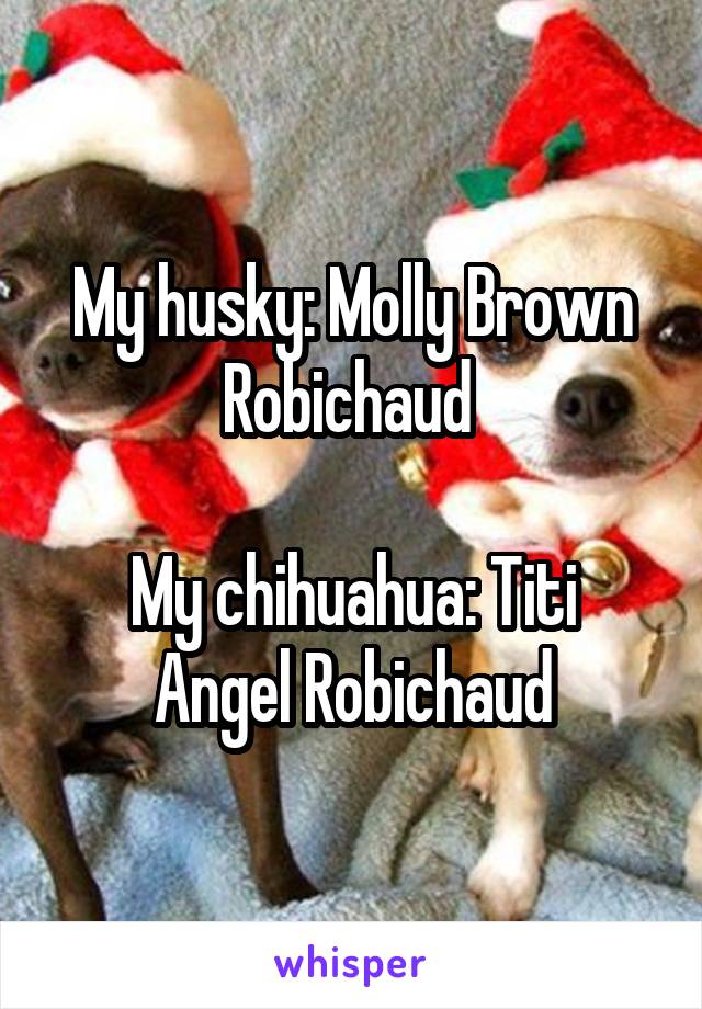 My husky: Molly Brown Robichaud 

My chihuahua: Titi Angel Robichaud