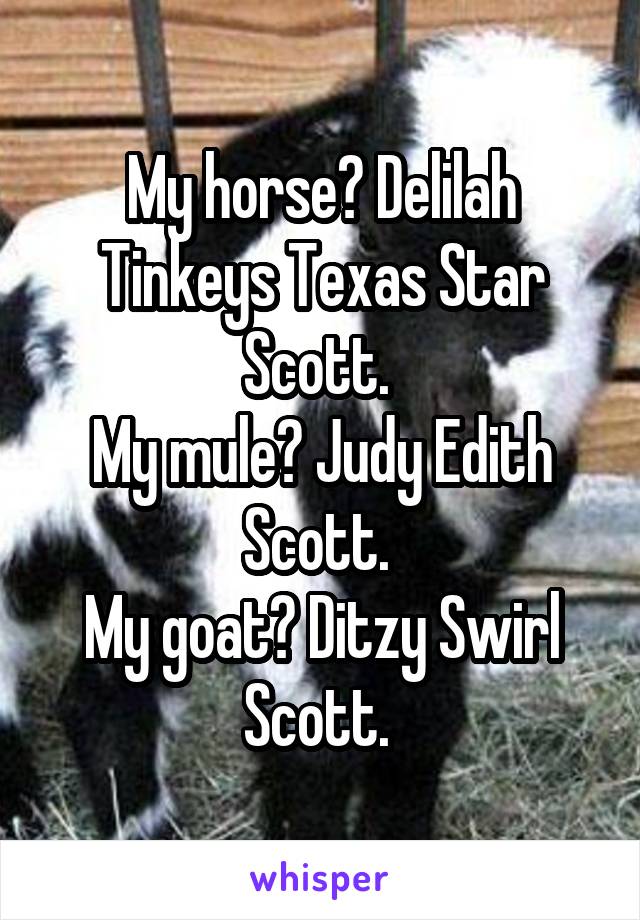 My horse? Delilah Tinkeys Texas Star Scott. 
My mule? Judy Edith Scott. 
My goat? Ditzy Swirl Scott. 