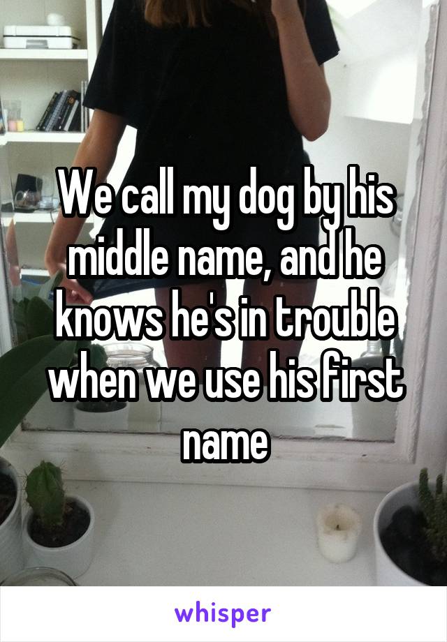 We call my dog by his middle name, and he knows he's in trouble when we use his first name