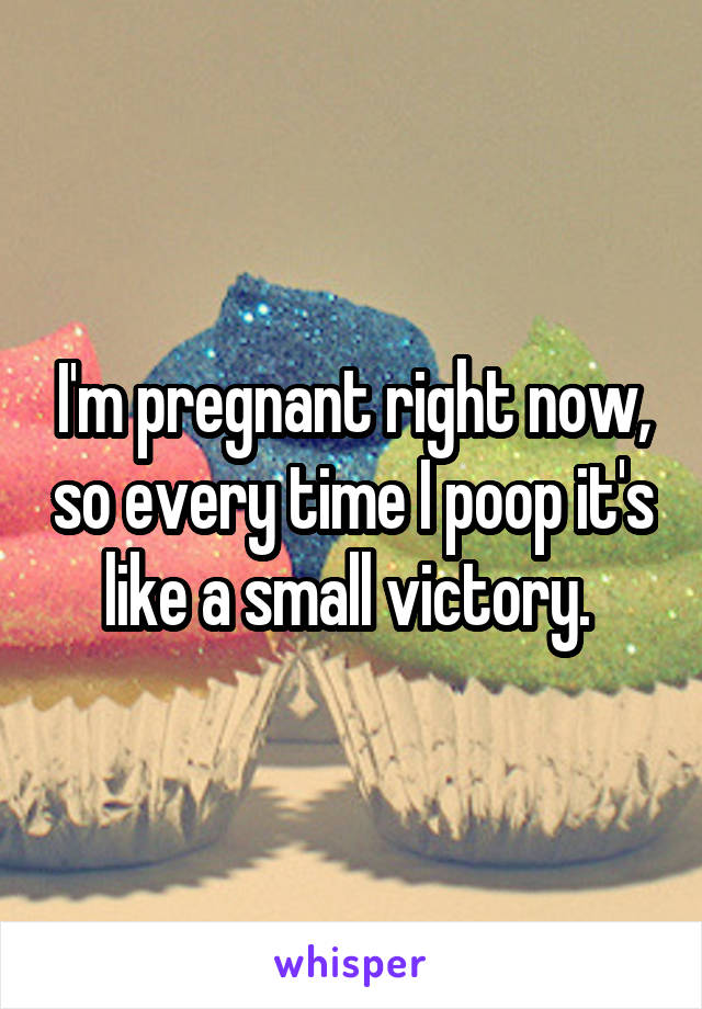 I'm pregnant right now, so every time I poop it's like a small victory. 