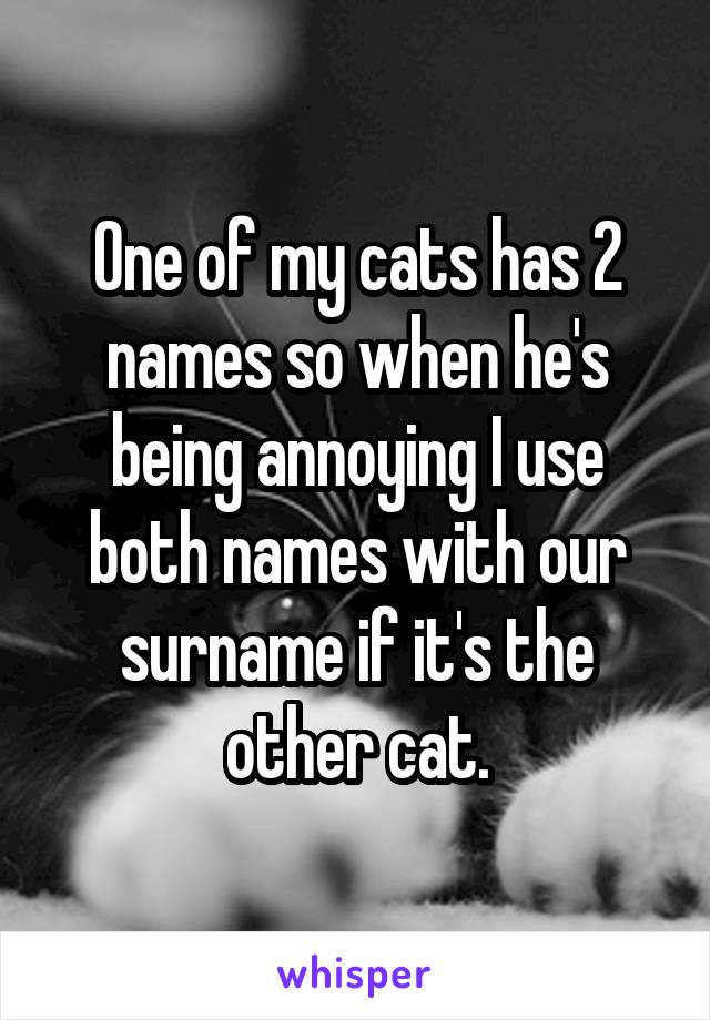 One of my cats has 2 names so when he's being annoying I use both names with our surname if it's the other cat.