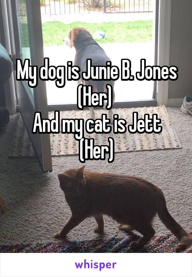 My dog is Junie B. Jones
(Her) 
And my cat is Jett
(Her)

