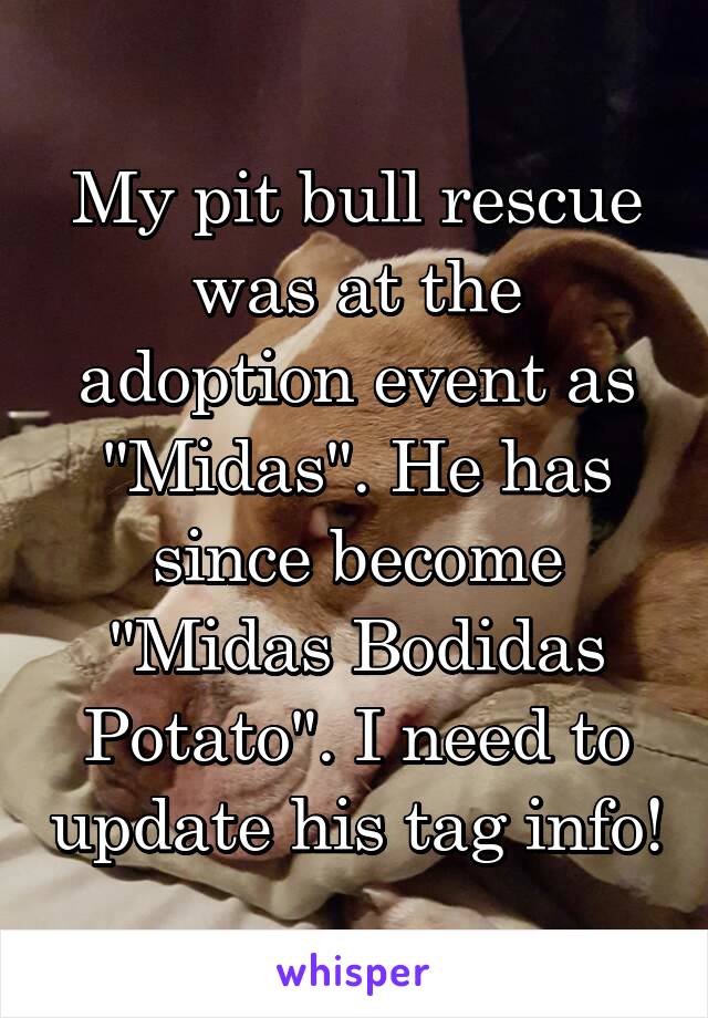 My pit bull rescue was at the adoption event as "Midas". He has since become "Midas Bodidas Potato". I need to update his tag info!