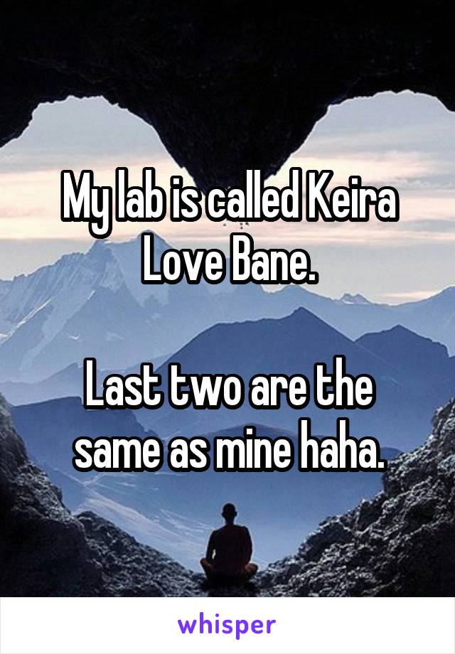 My lab is called Keira Love Bane.

Last two are the same as mine haha.