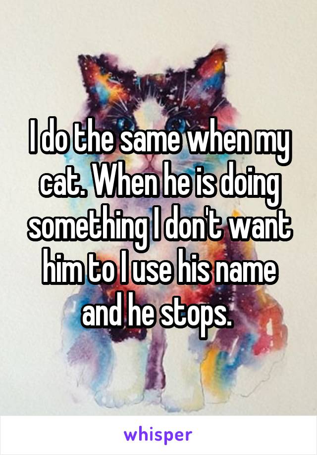 I do the same when my cat. When he is doing something I don't want him to I use his name and he stops. 