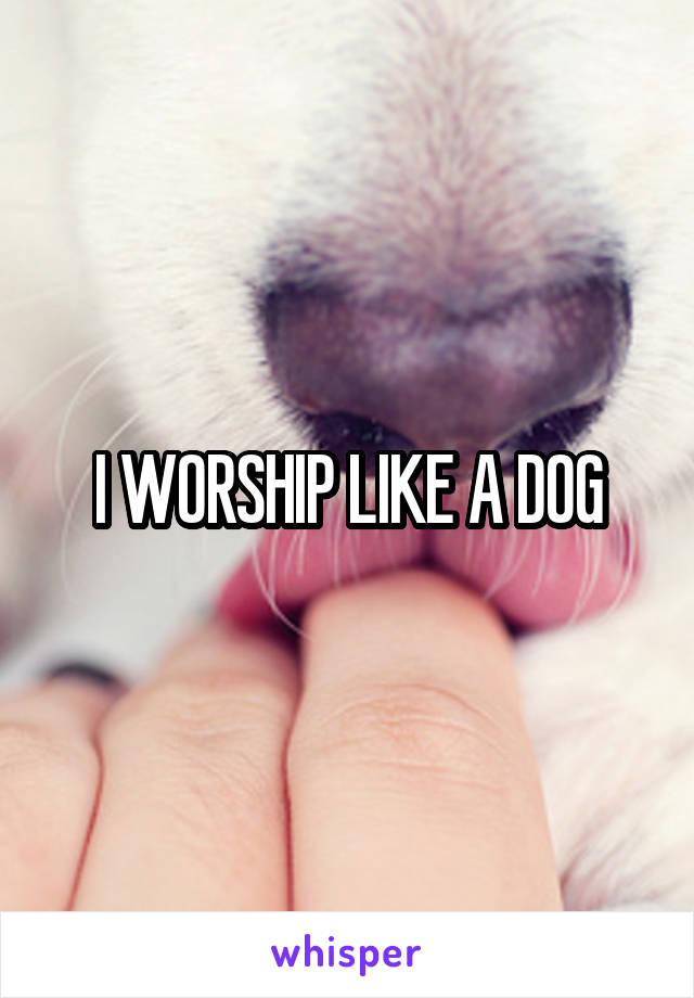 I WORSHIP LIKE A DOG