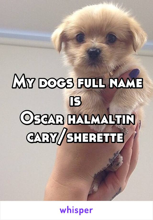 My dogs full name is 
Oscar halmaltin cary/sherette 