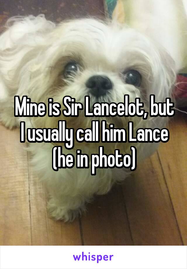 Mine is Sir Lancelot, but I usually call him Lance (he in photo)