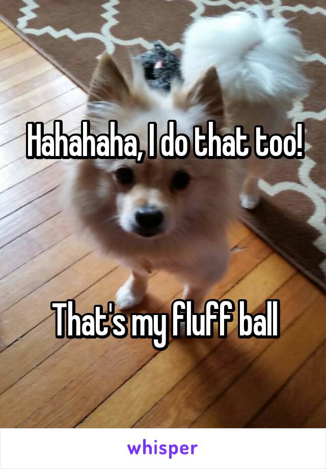 Hahahaha, I do that too!



That's my fluff ball