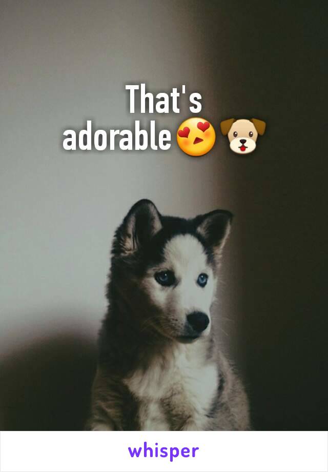 That's adorable😍🐶