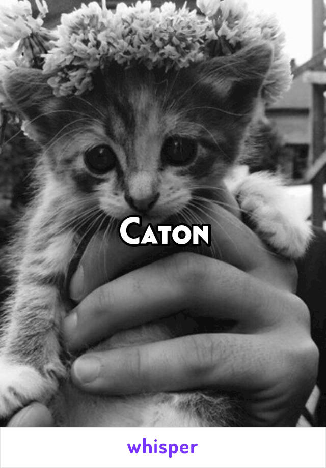 Caton