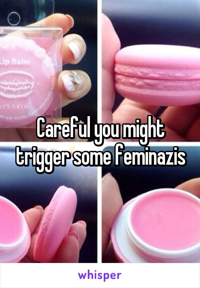 Careful you might trigger some feminazis