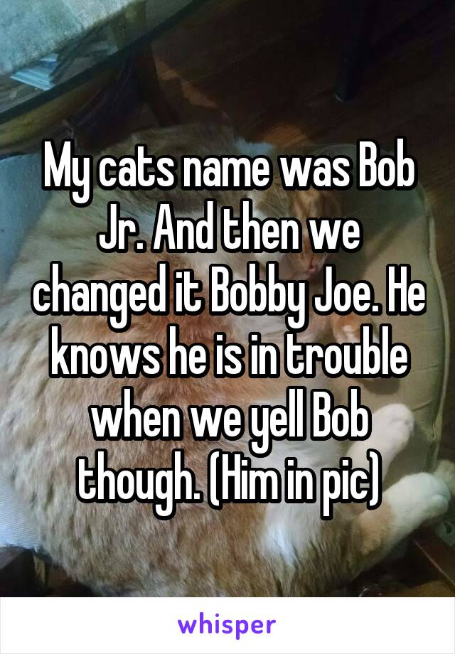 My cats name was Bob Jr. And then we changed it Bobby Joe. He knows he is in trouble when we yell Bob though. (Him in pic)