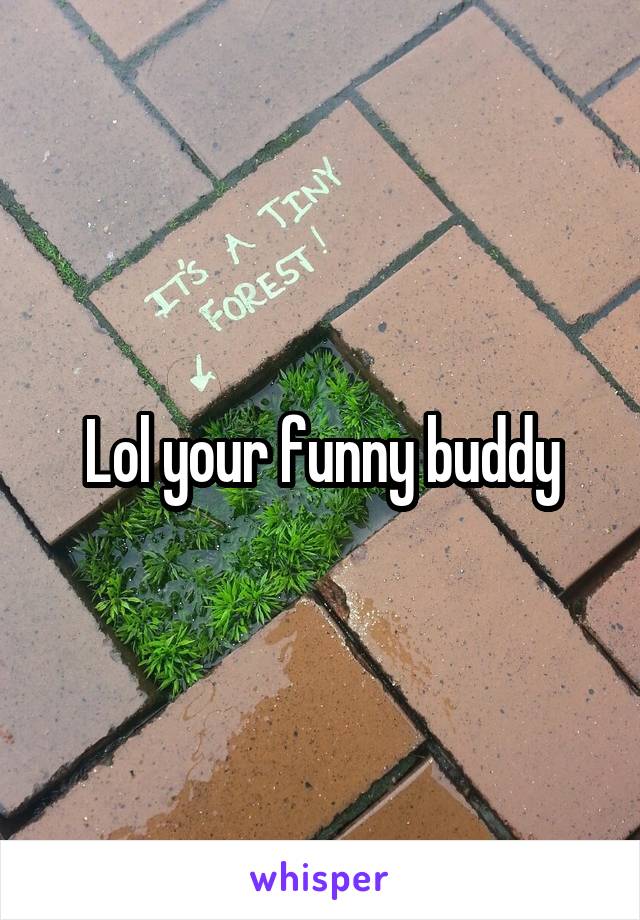 Lol your funny buddy