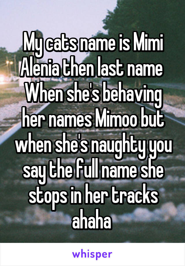 My cats name is Mimi Alenia then last name 
When she's behaving her names Mimoo but when she's naughty you say the full name she stops in her tracks ahaha 