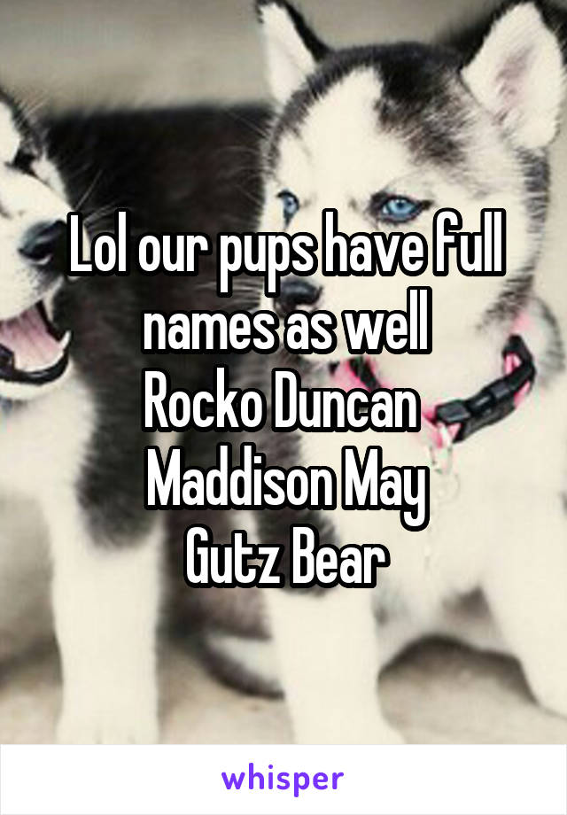 Lol our pups have full names as well
Rocko Duncan 
Maddison May
Gutz Bear