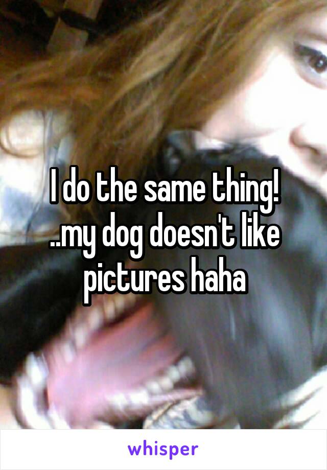 I do the same thing!
..my dog doesn't like pictures haha