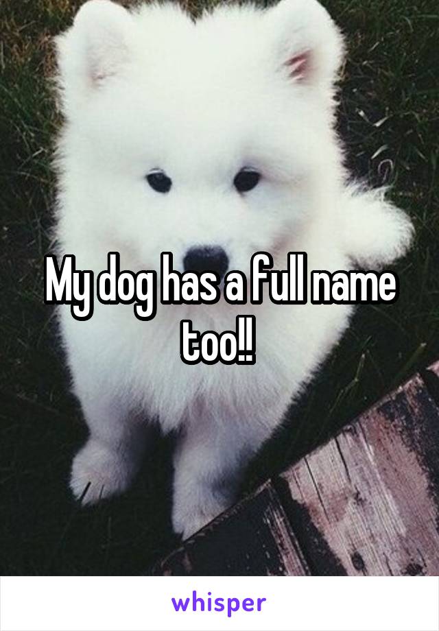 My dog has a full name too!! 