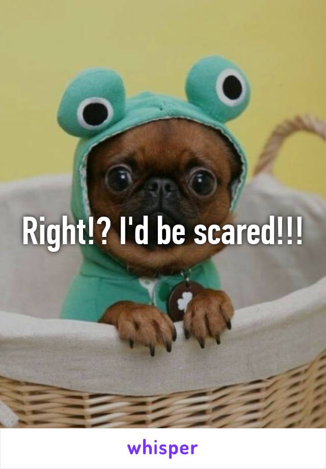 Right!? I'd be scared!!!