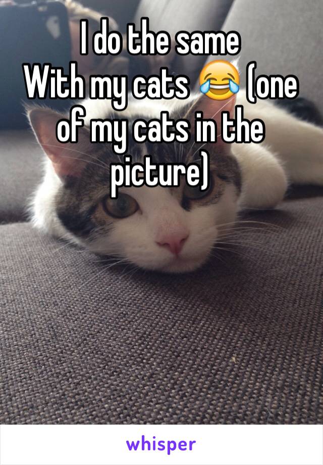 I do the same
With my cats 😂 (one of my cats in the picture)





