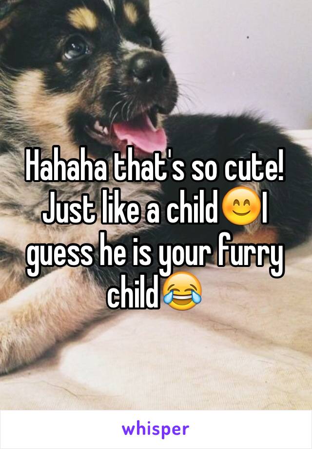 Hahaha that's so cute! Just like a child😊I guess he is your furry child😂