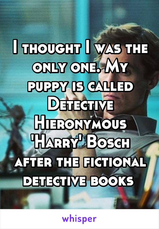 I thought I was the only one. My puppy is called Detective Hieronymous 'Harry' Bosch after the fictional detective books 