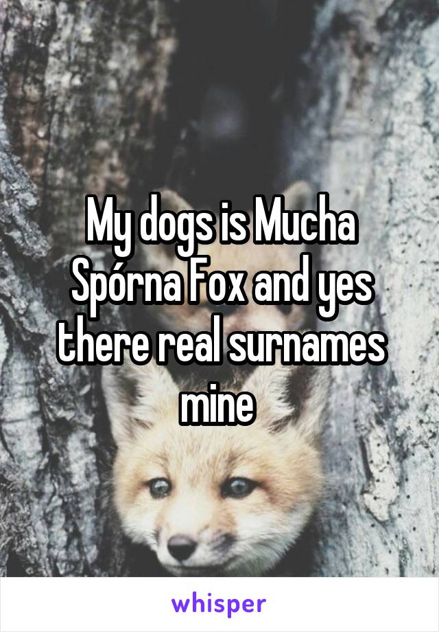 My dogs is Mucha Spórna Fox and yes there real surnames mine 