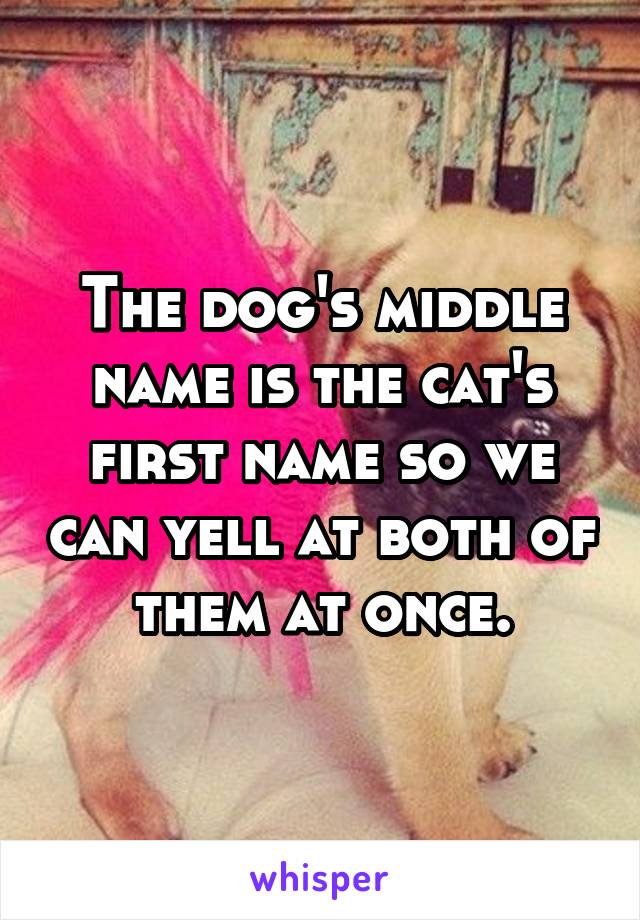 The dog's middle name is the cat's first name so we can yell at both of them at once.