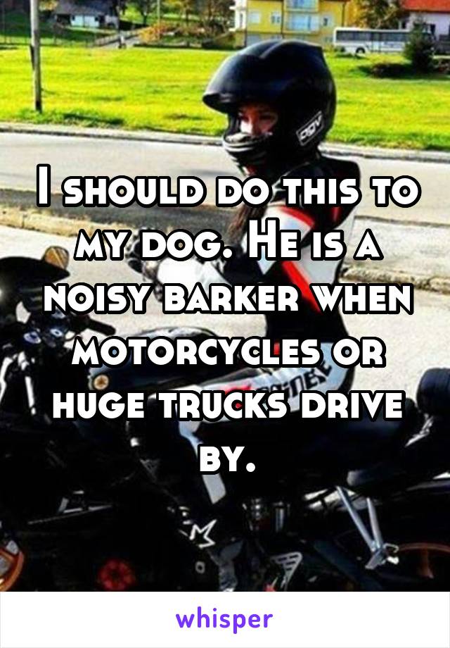 I should do this to my dog. He is a noisy barker when motorcycles or huge trucks drive by.