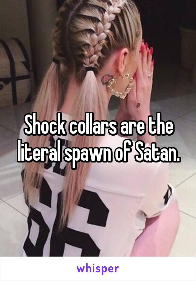 Shock collars are the literal spawn of Satan.