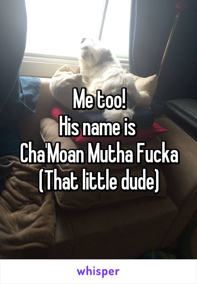 Me too!
His name is 
Cha'Moan Mutha Fucka
(That little dude)
