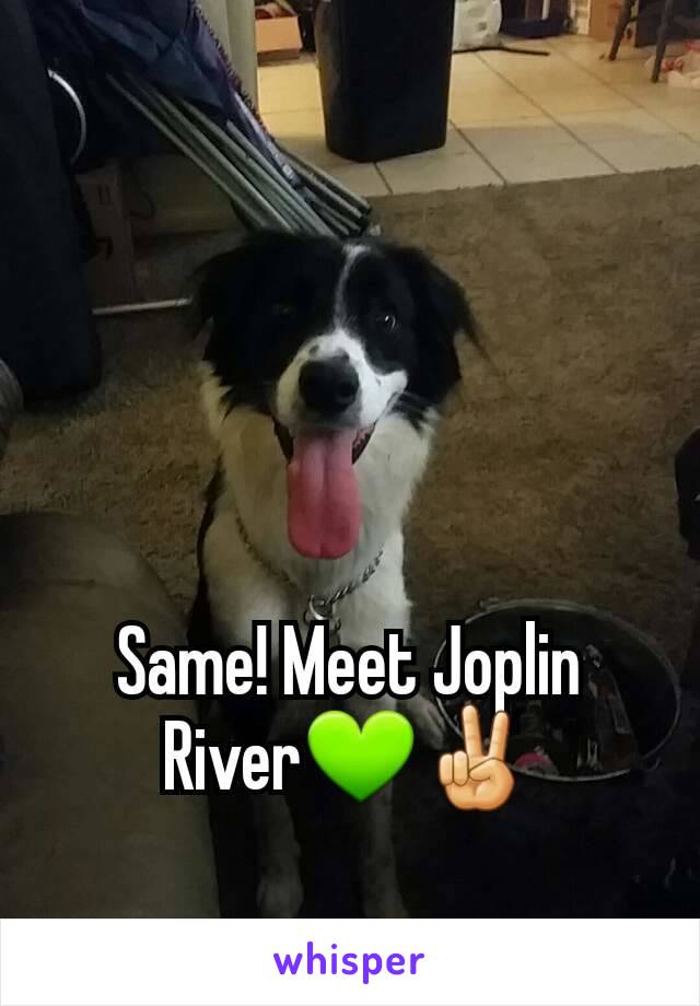 Same! Meet Joplin River💚✌