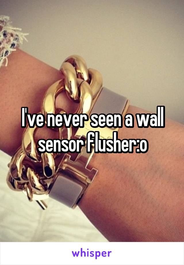 I've never seen a wall sensor flusher:o