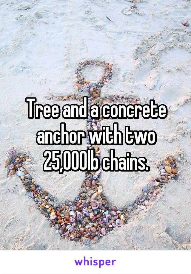 Tree and a concrete anchor with two 25,000lb chains.