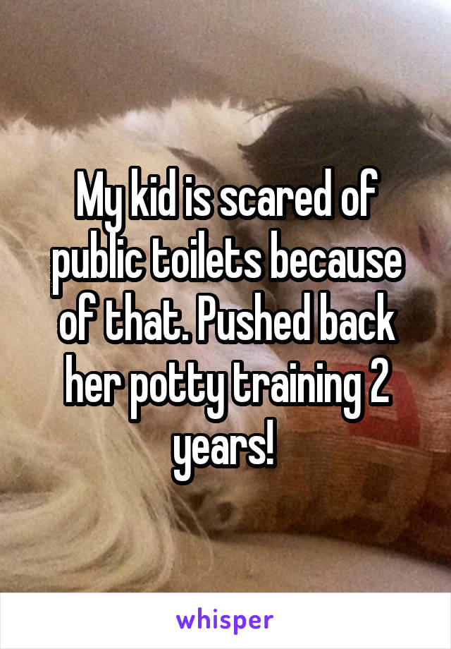 My kid is scared of public toilets because of that. Pushed back her potty training 2 years! 
