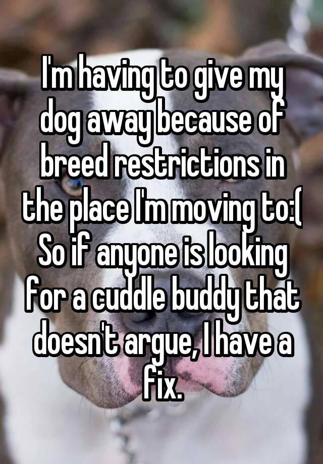 i-m-having-to-give-my-dog-away-because-of-breed-restrictions-in-the